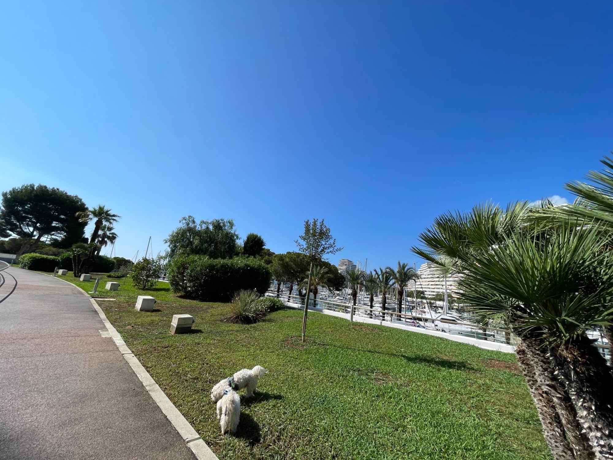 Studio A 2 Pas De La Plage Villeneuve-Loubet Εξωτερικό φωτογραφία